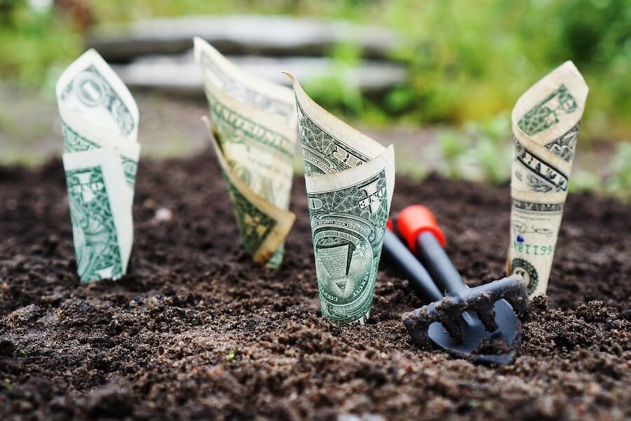 Dollars planten