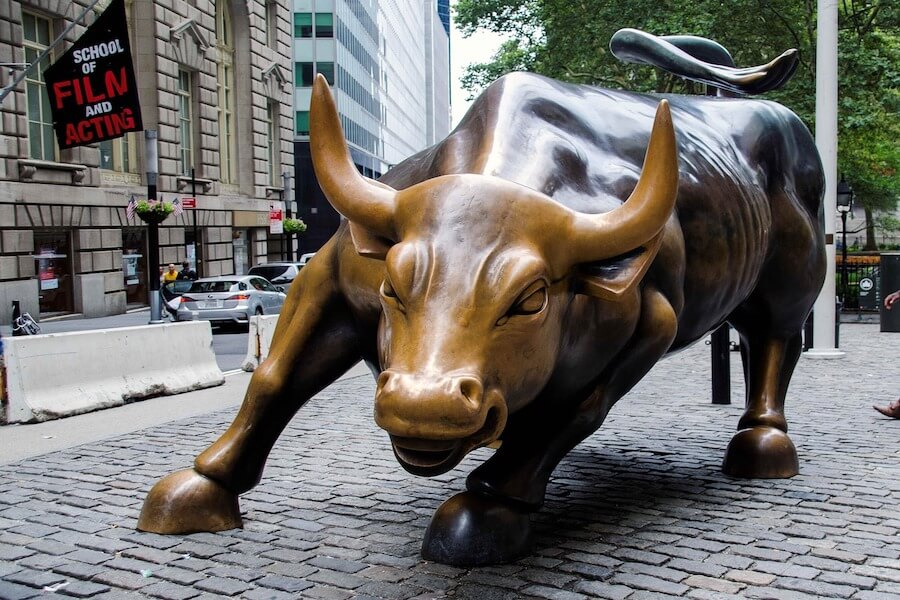 Stier WallStreet