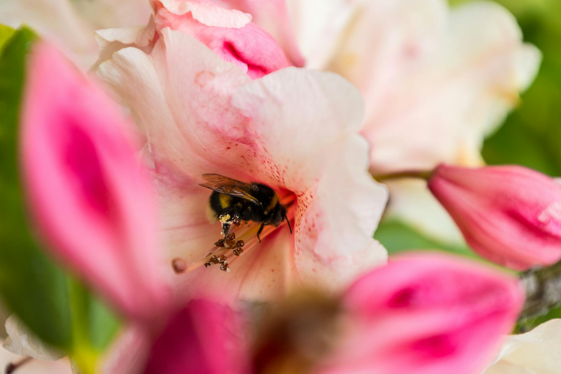 overconfidence bij beleggen — Foto: Lonneke Meijer (Pexels)