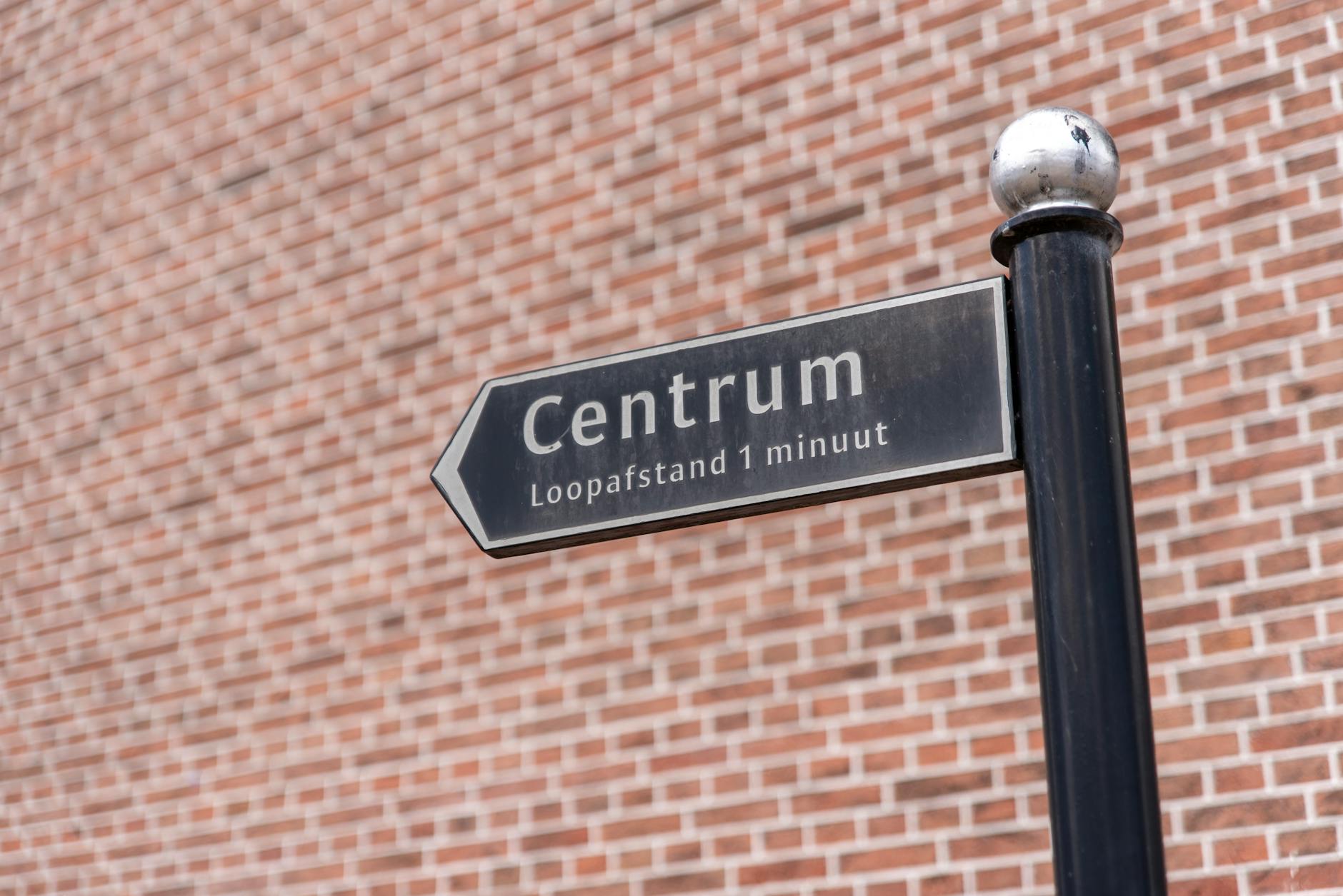 contrarian beleggen — Foto: Jan van der Wolf (Pexels)
