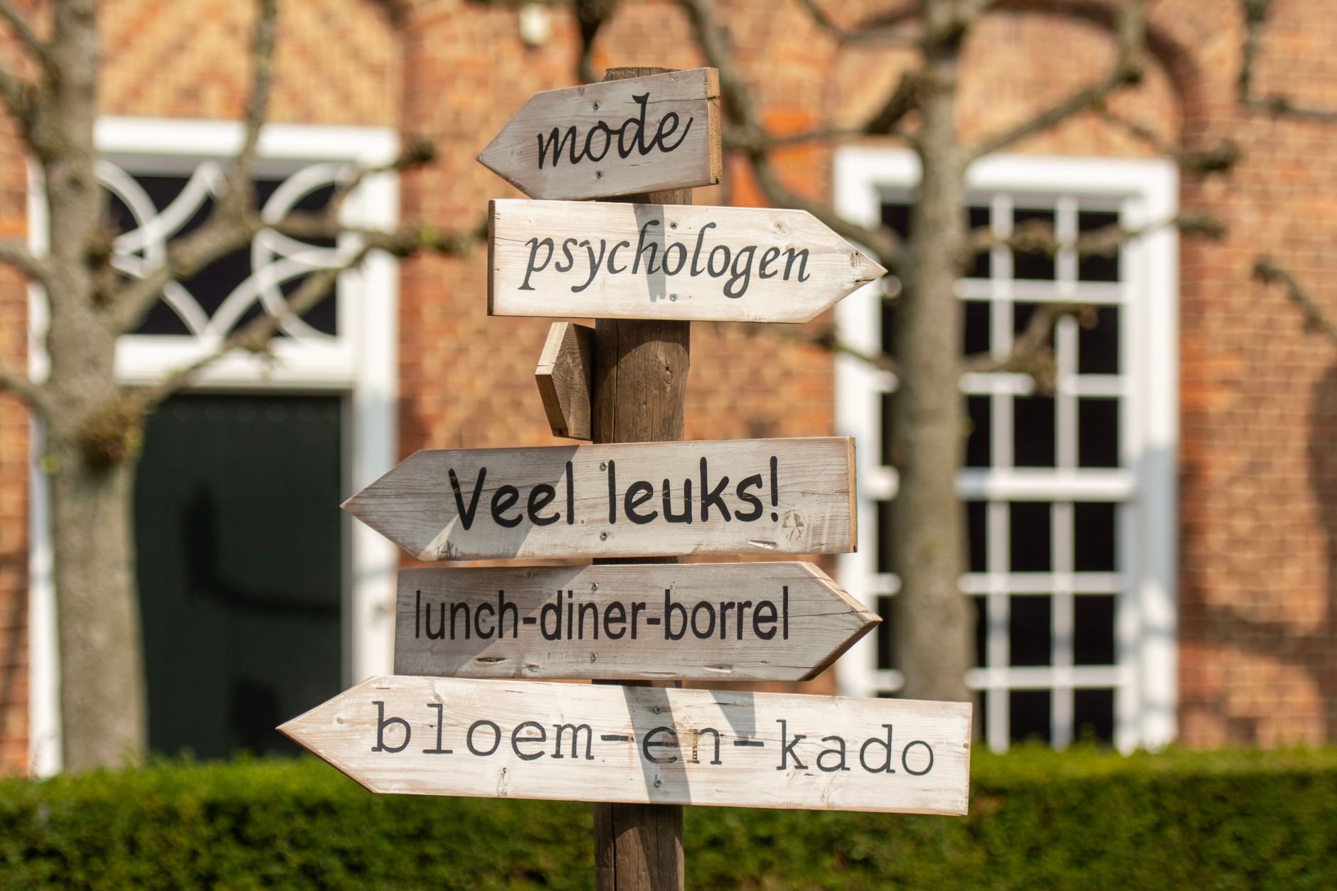 te vaak handelen — Foto: Jan van der Wolf (Pexels)